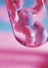 amh小于1调理后试管成功率高吗？