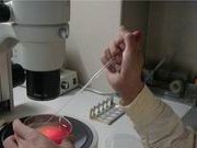 哈尔滨三代试管怀孕生孩子机构详细排名